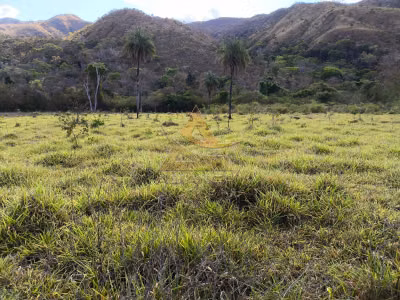 Fazenda, 3872 hectares - Foto 1