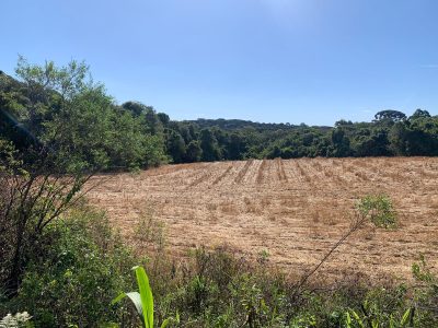 Terreno, 12 hectares - Foto 3