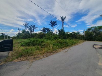 Terreno, 1000 m² - Foto 1