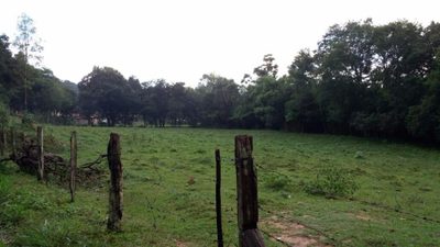 Sítio, 2 quartos, 2 hectares - Foto 4