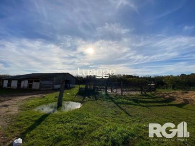 Sítio, 1 quarto, 20001 m² - Foto 4