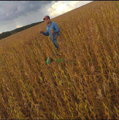 Terreno, 10000 m² - Foto 3