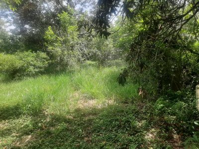 Terreno, 3460 m² - Foto 2