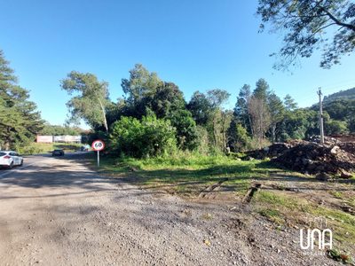 Terreno, 3 hectares - Foto 4