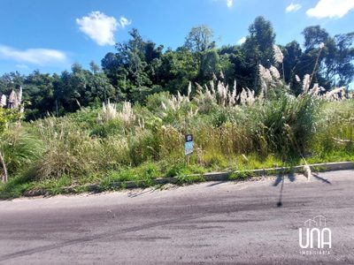 Terreno, 428 m² - Foto 1