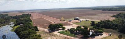 Fazenda - Foto 1