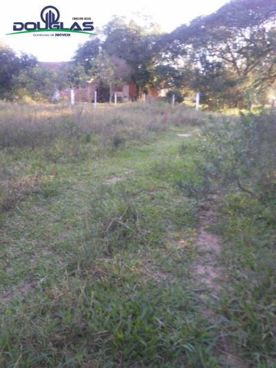 Sítio, 3 quartos - Foto 2