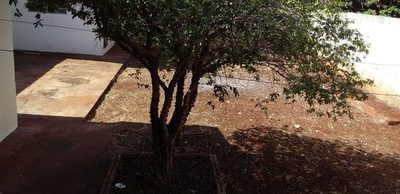 Casa, 3 quartos, 118 m² - Foto 3