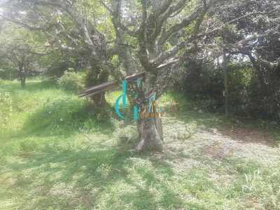 Terreno, 3460 m² - Foto 3
