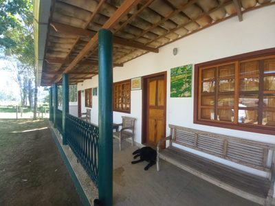 Chácara, 5 quartos - Foto 2