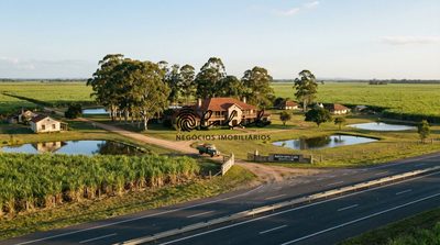 Fazenda, 317 hectares - Foto 1