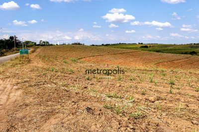 Terreno, 12 hectares - Foto 4