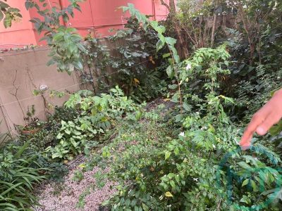 Apartamento, 2 quartos, 75 m² - Foto 3