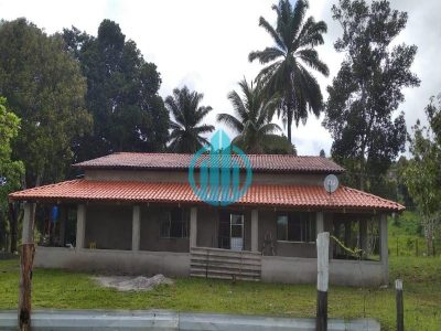 Fazenda, 50 hectares - Foto 4