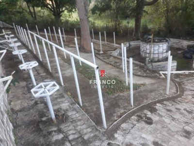 Chácara, 3 quartos, 5283 m² - Foto 3