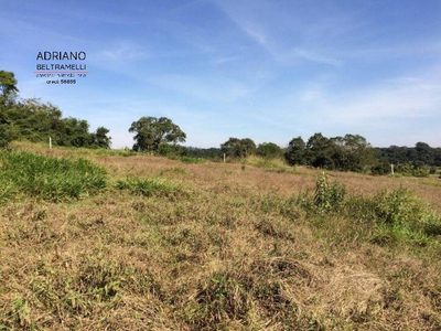 Terreno, 2 hectares - Foto 2
