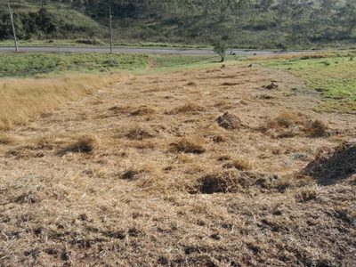 Terreno, 517 m² - Foto 1