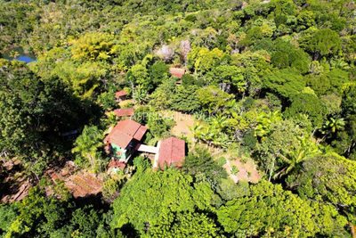 Chácara, 4 quartos, 4 hectares - Foto 2
