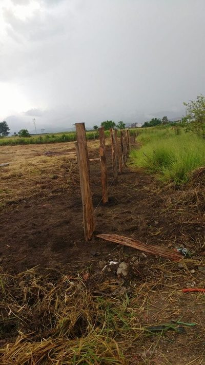 Terreno, 1000 m² - Foto 1