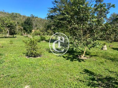 Chácara, 2 quartos, 2 hectares - Foto 2