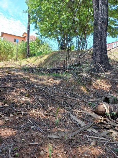 Terreno, 307 m² - Foto 3