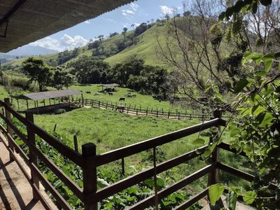 Fazenda, 194 hectares - Foto 2