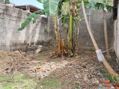 Terreno, 250 m² - Foto 5