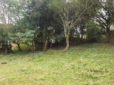 Terreno - Foto 1