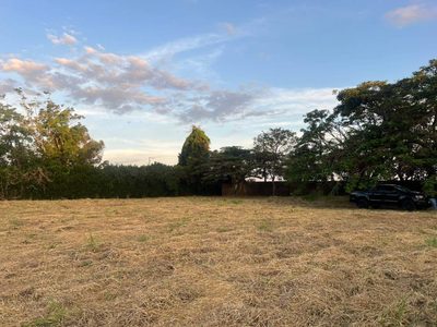 Terreno, 2500 m² - Foto 3