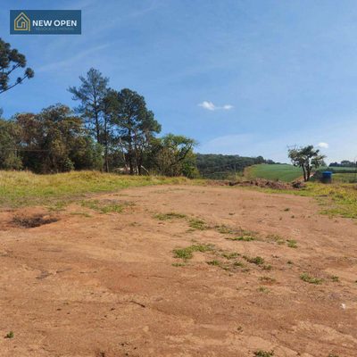 Terreno, 504 m² - Foto 4