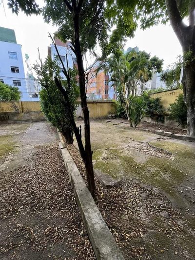 Casa, 3 quartos, 359 m² - Foto 2