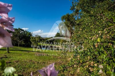 Terreno, 200 m² - Foto 4