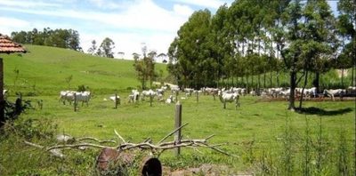 Fazenda, 300 m² - Foto 2