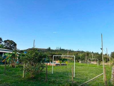 Sítio, 2 quartos, 4000 m² - Foto 5