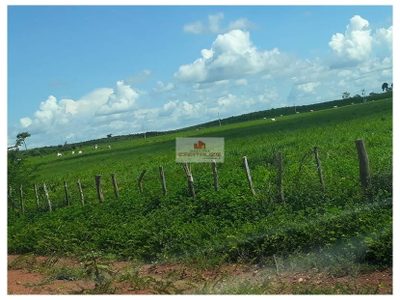 Fazenda, 4000 m² - Foto 3