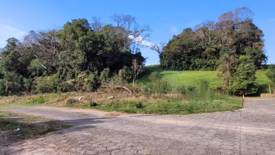 Terreno, 242 m² - Foto 1