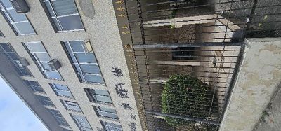 Apartamento, 1 quarto, 31 m² - Foto 1