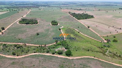 Fazenda, 160 hectares - Foto 3