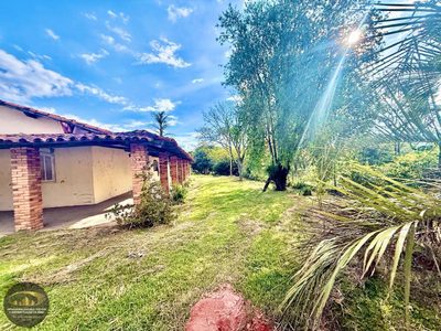 Chácara, 2 quartos, 6250 m² - Foto 3