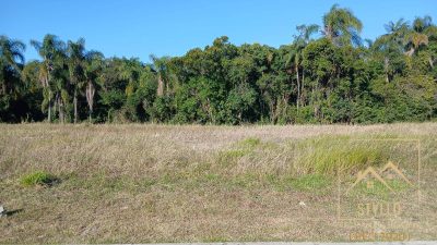 Terreno, 203 hectares - Foto 1