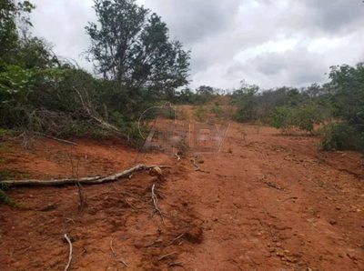 Terreno - Foto 4