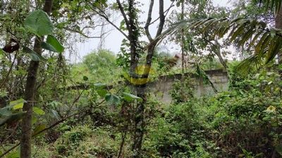 Terreno, 3000 m² - Foto 5