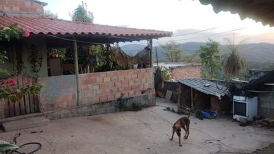 Chácara, 1 quarto, 1600 m² - Foto 4