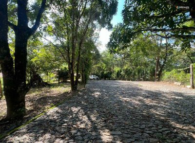Chácara, 2 quartos, 2300 m² - Foto 1