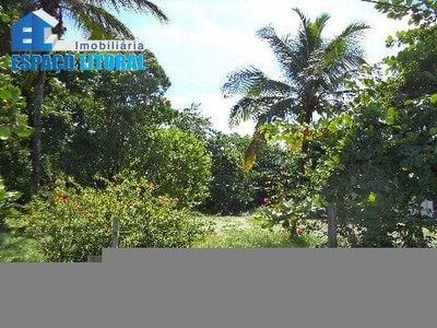 Terreno - Foto 2