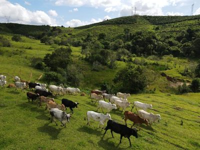 Fazenda, 8 quartos - Foto 3