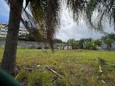 Terreno, 2853 m² - Foto 3