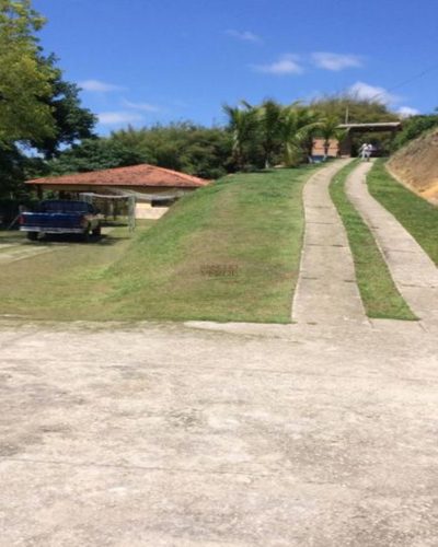 Chácara, 3 quartos, 6000 m² - Foto 5