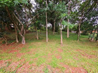 Terreno, 1958 m² - Foto 4