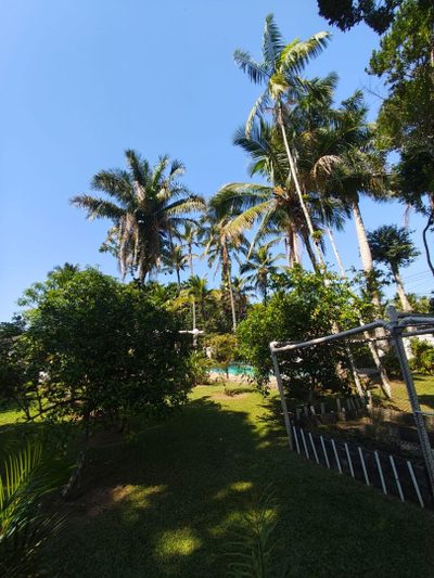 Casa, 7 quartos, 350 m² - Foto 5
